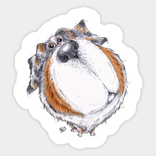 Australian Shepherd Dog Sticker